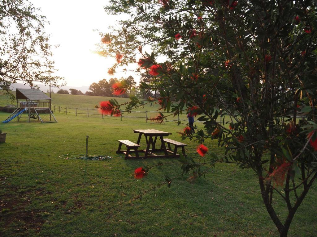 Caladdi Bed And Breakfast Durban Exterior photo